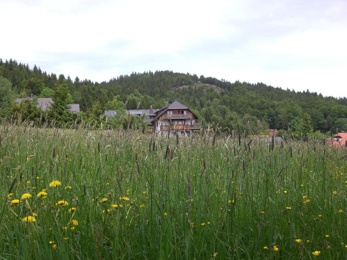 Hotel Dachsberger-Hof Wittenschwand Esterno foto