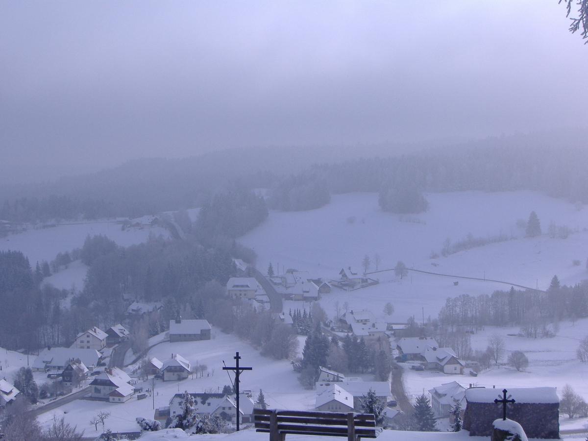 Hotel Dachsberger-Hof Wittenschwand Esterno foto